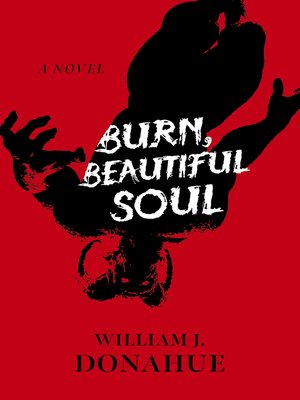 Burn, Beautiful Soul - ebook